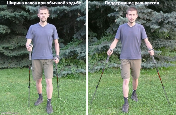 Техника ходьбы с треккинговыми палками